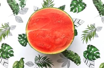 how-to-save-watermelon-until-christmas